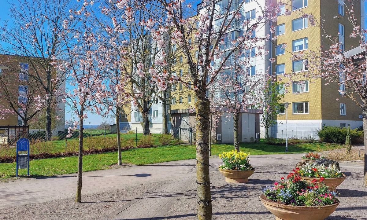 Helsingborg Apartment | 1 bedroom cozy apartment in Helsingborg