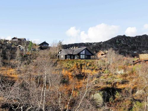 Ljosland House | 10 person holiday home in Åseral