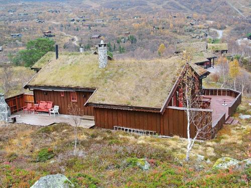 Vinje House | 11 person holiday home in Edland