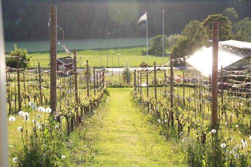 Huskvarna Bed & Breakfast | 120 m² Bed and breakfast ∙ 3 bedrooms ∙ 6 guests