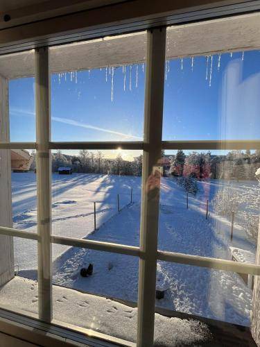 Arvidsjaur Bed & Breakfast | 15 m² Bed and breakfast ∙ 2 guests