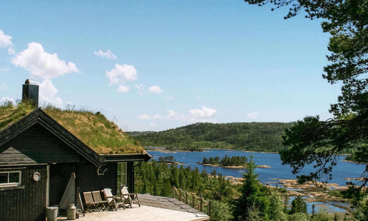 Nissedal House | 2 bedroom amazing home in Nissedal