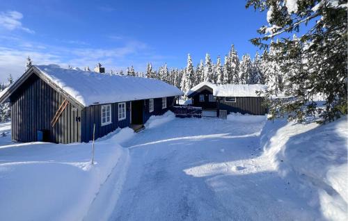 Sjusjoen House | 3 Bedroom Awesome Home In Sjusjøen