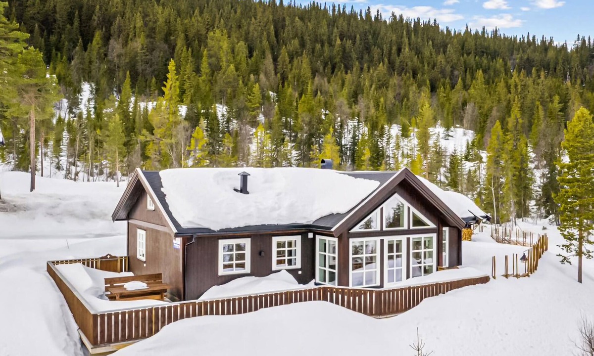Uvdal House | 3 bedroom nice home in Rødberg