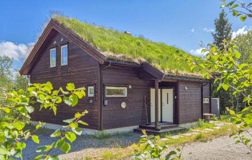 Vinje House | 4 Bedroom Gorgeous Home In Edland