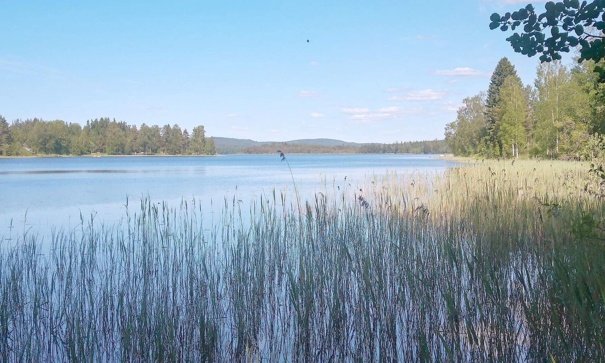Gunnarskog House | 4 person holiday home in Gunnarskog