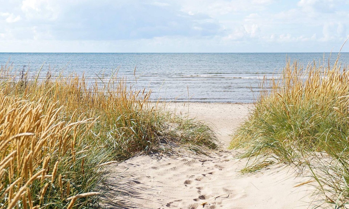 Glommen House | 4 person holiday home in GLOMMEN