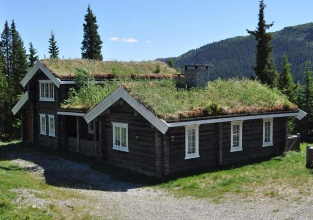 Skeikampen House | 4 star holiday home in Fåvang