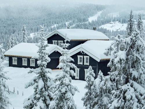 Skeikampen House | 4 star holiday home in Fåvang