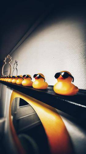 Orrefors Hostel | 40 m² Hostel ∙ 2 bedrooms ∙ 5 guests