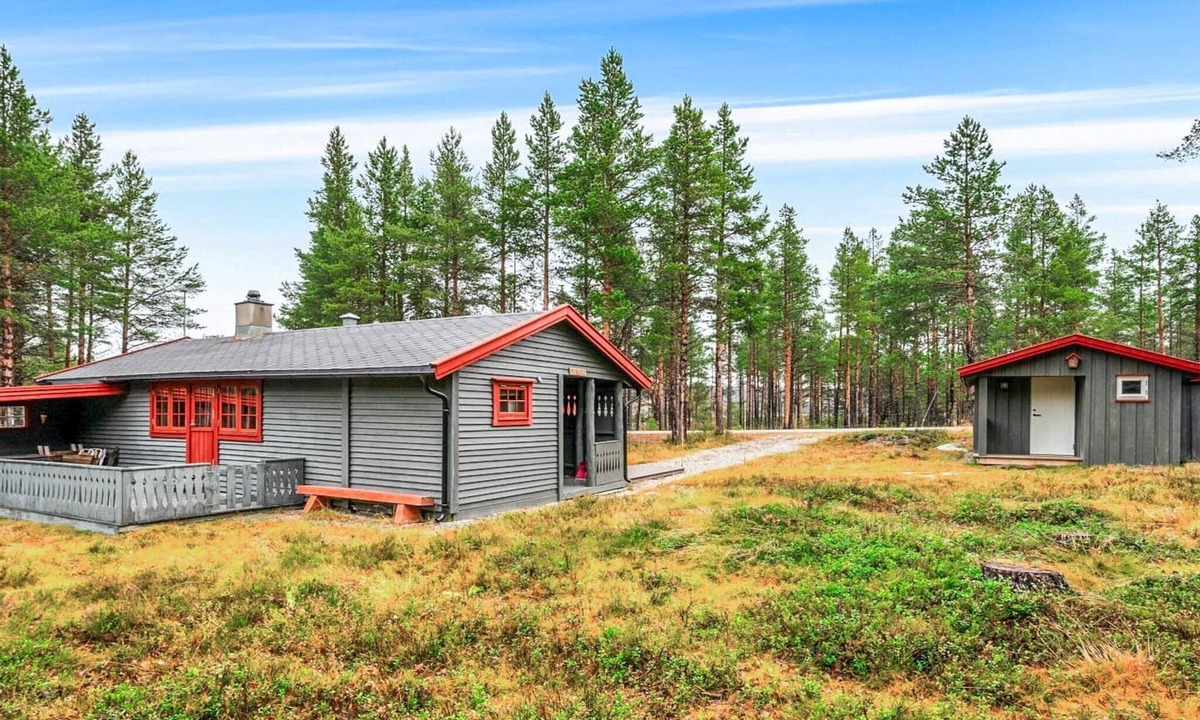 Galaa House | 5 person holiday home in Røros