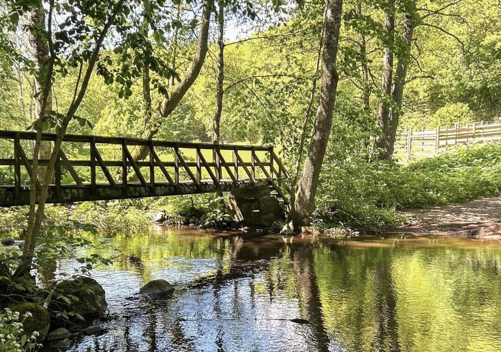 Lovestad House | 6 person holiday home in LÖVESTAD