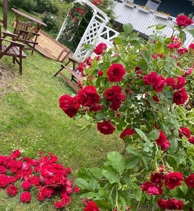 Jarfalla Municipality Resort | 700 m² Private room ∙ 1 bedroom ∙ 1 guest