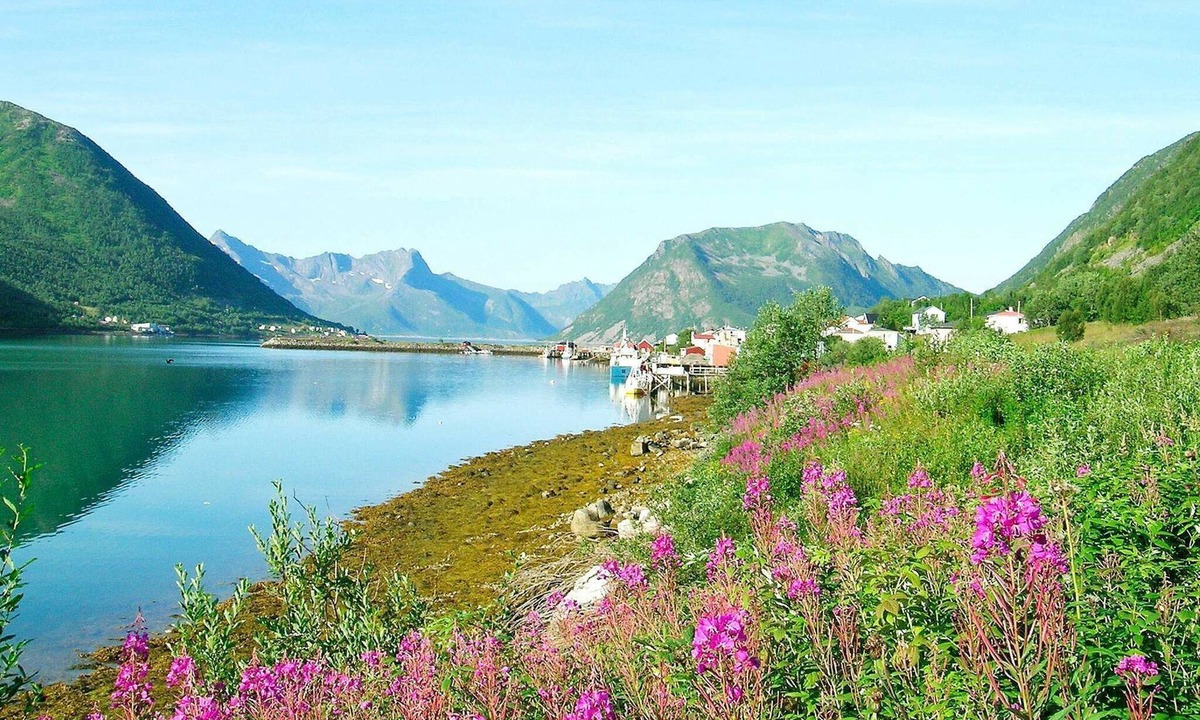 Sifjord House | 8 person holiday home in Kaldfarnes