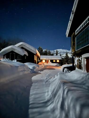 Hemsedal House | 9 bed Authentic Norwegian cabin with sauna and hot tub