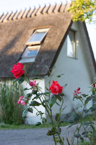 Vaster Bed & Breakfast | 95 m² Bed and breakfast ∙ 6 guests