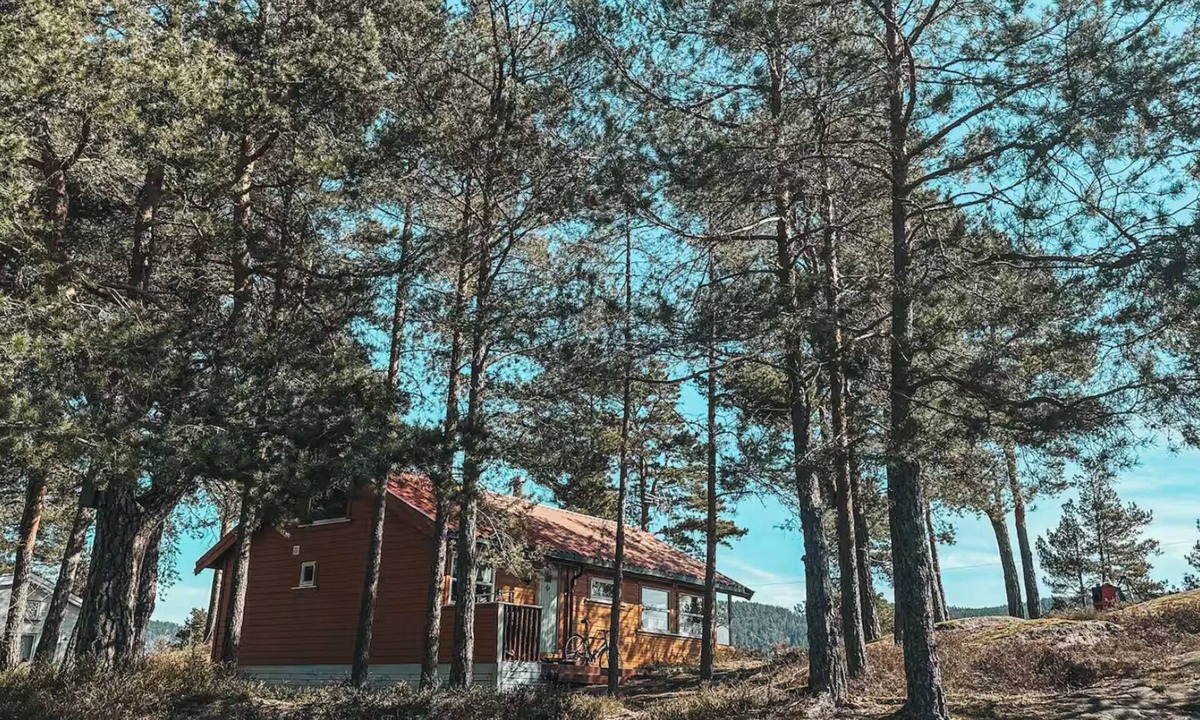 Svelvik Cabin | A peaceful getaway with a fjord view! Sleeps 6 people. FrantasticView