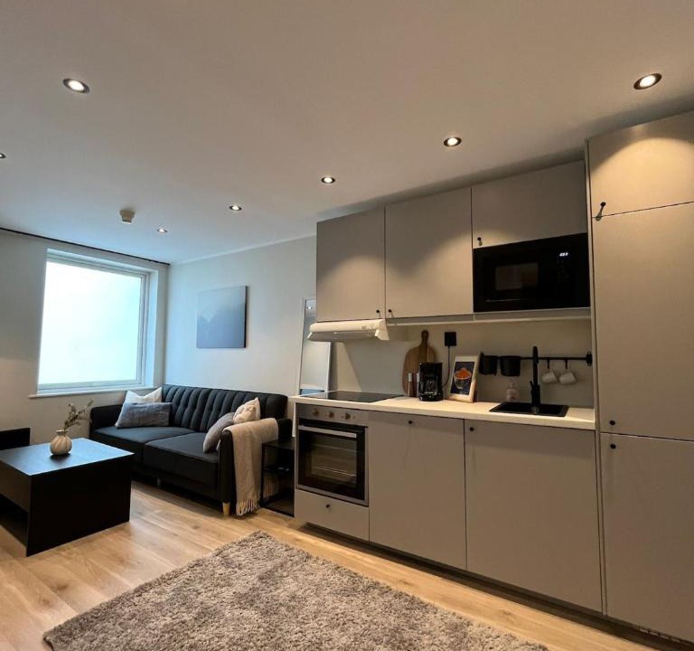Voss Apartment | Affordable Luxury Apt - Hotel Vibe - Heart of Voss