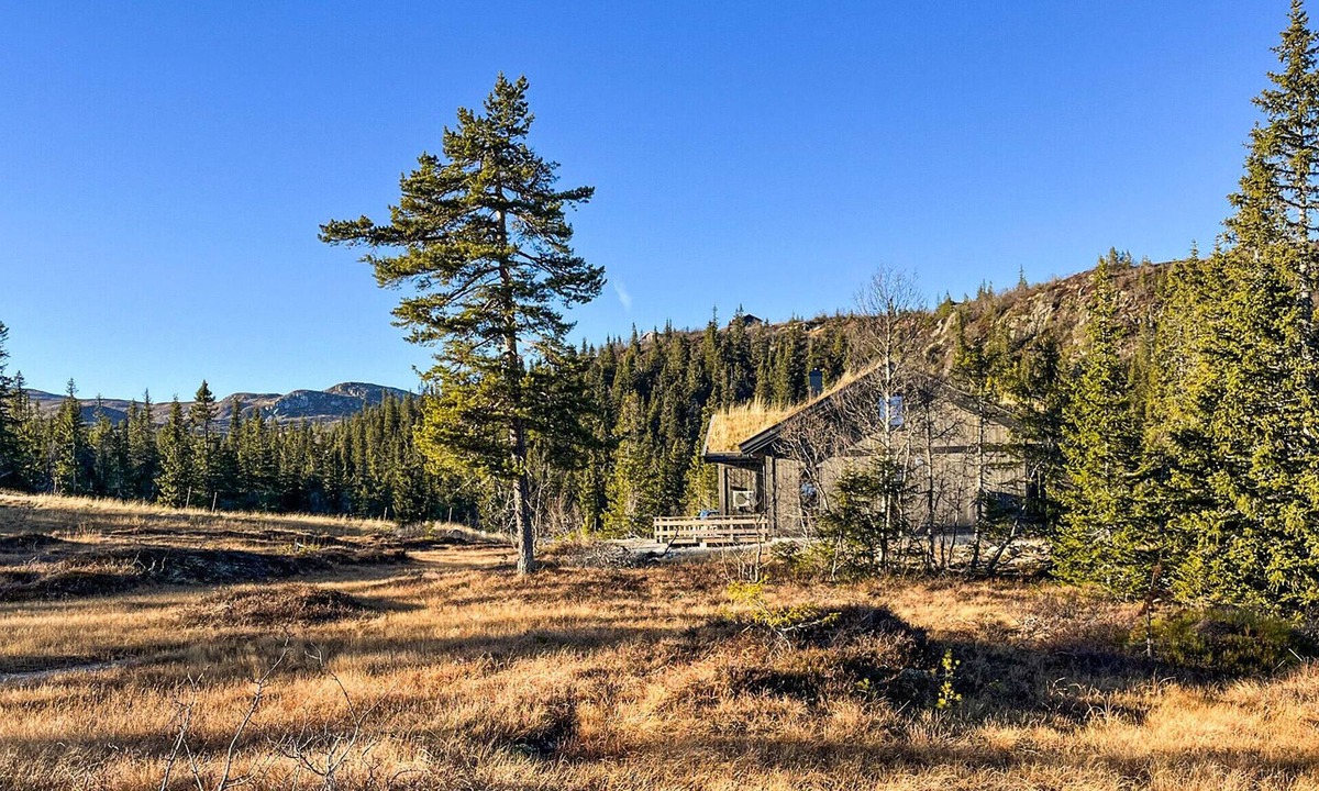 Fla Municipality House | Amazing home in Flå with sauna