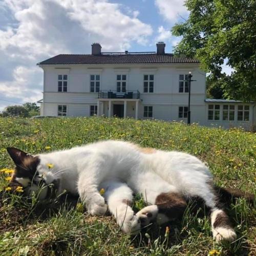 Nattraby Bed & Breakfast | Amiralsgården Verstorp