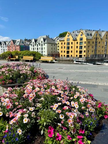 Alesund Apartment | Apartment by the center of Ålesund