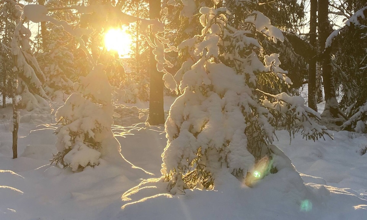Jarna Apartment | Apartment near South Stockholm Golf Course in Kallfors, Järna
