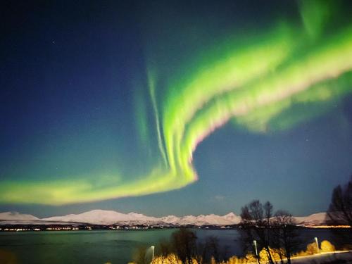 Tromso Apartment | Apartment on Whaleisland
