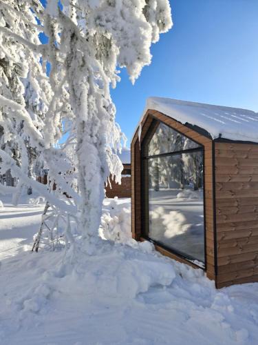 Puolanka Hotel | Arctic Nest Forest Cabin