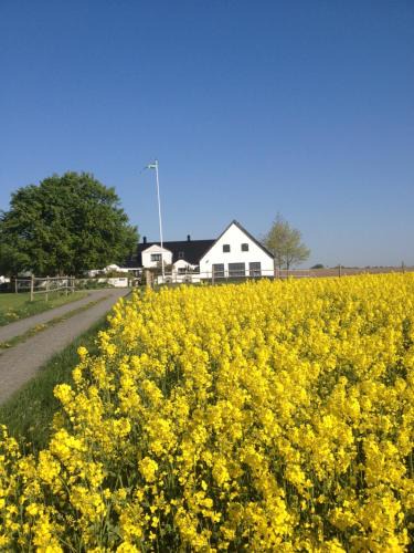 Borrby Apartment | Arnhög Farm