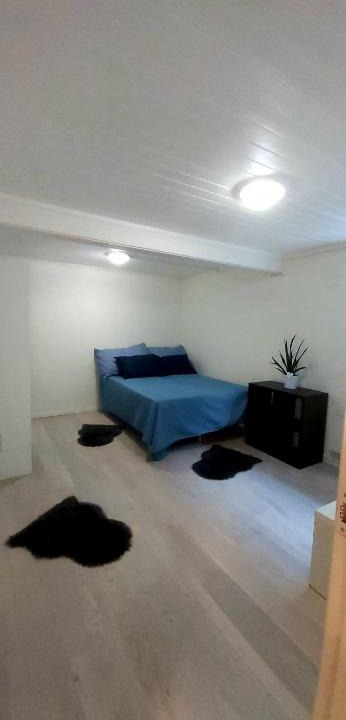 Tromso House | Aurora rooms in shared apartment nr1 We are doing privet northen light trip, reindeer trip and sommaroy Fjord trip