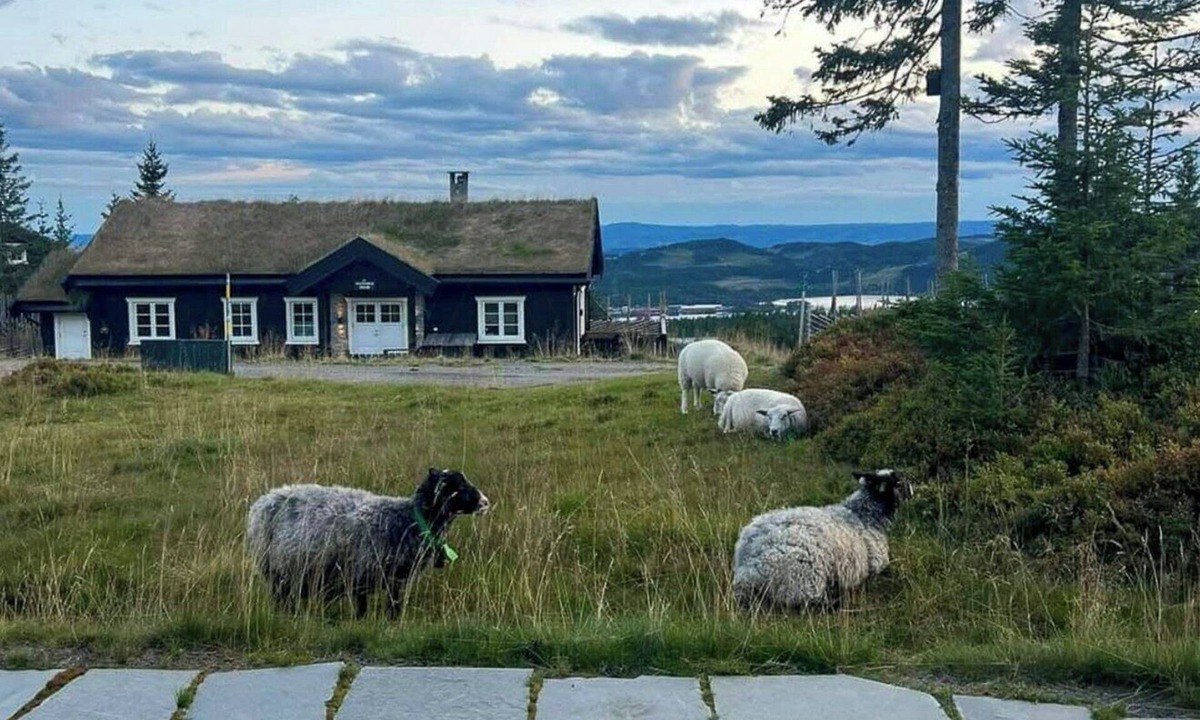 Ringsaker House | Authentic family cabin experience at Sjusjøen