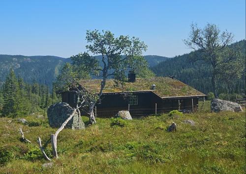 Vinje Ski Chalet | Authentic Secluded Mountain Gem in Telemark