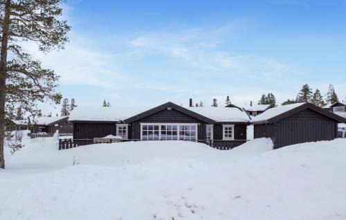 Engerdal House | Awesome Home In Engerdal With Wifi