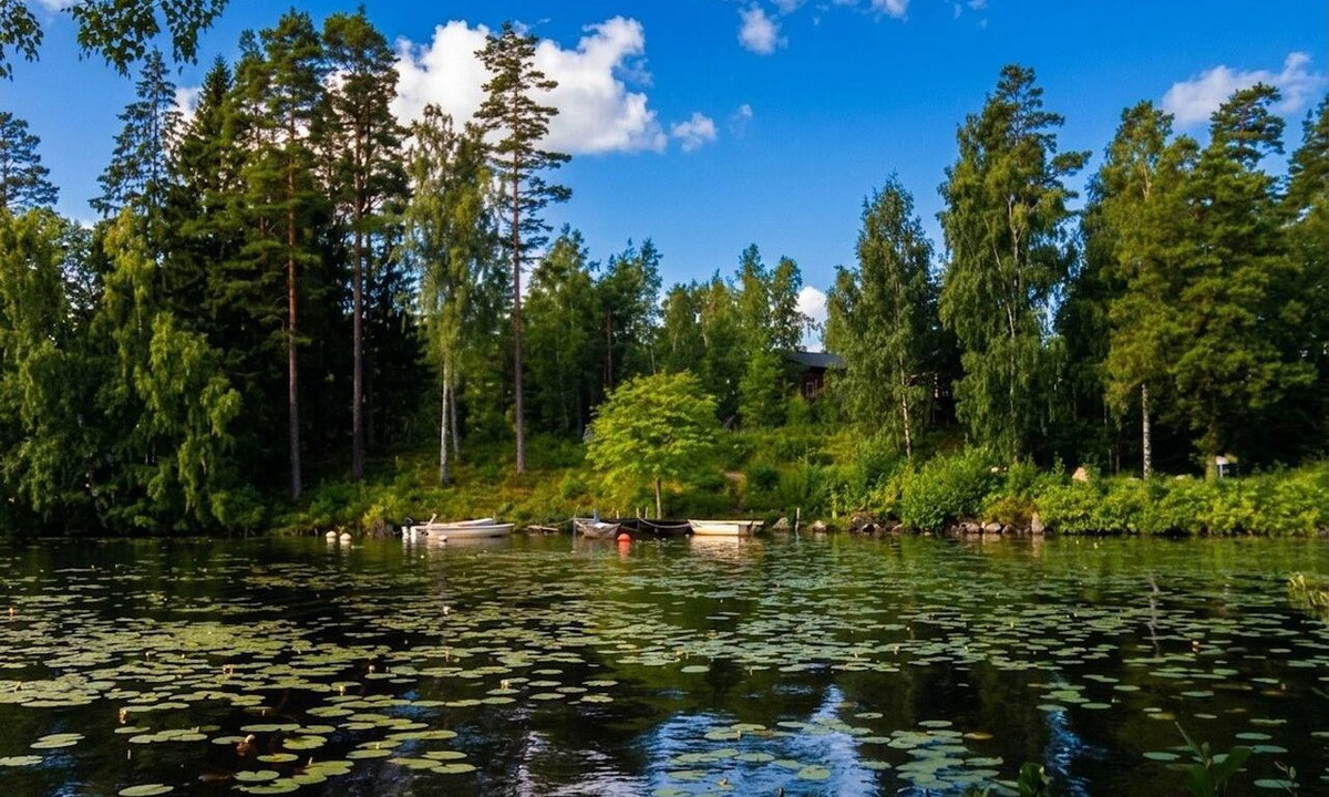 Dio House | Beautiful holiday home right on the lake in southern Sweden