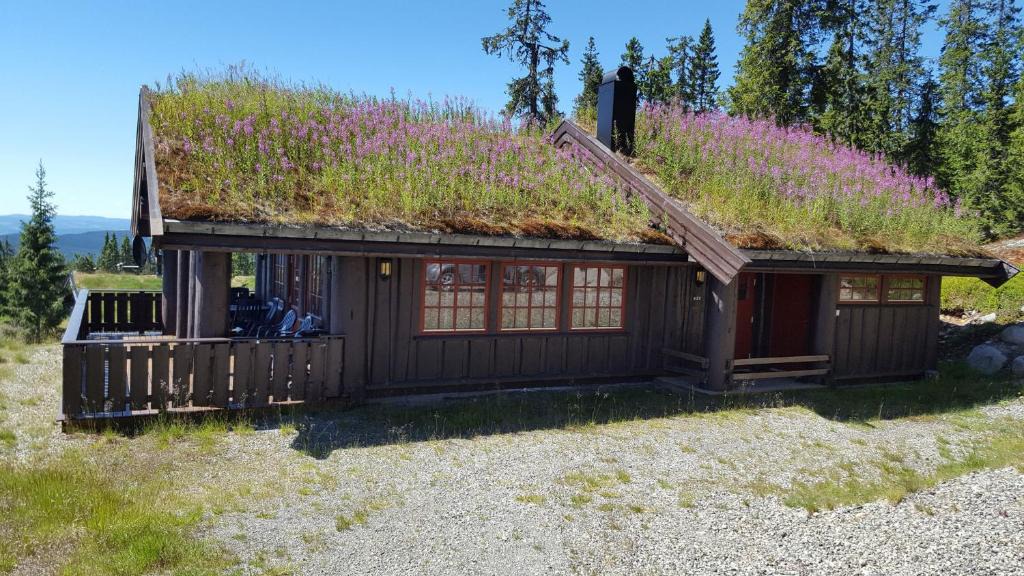 Ringsaker House | Berghstua - Natrudstilen på Sjusjøen