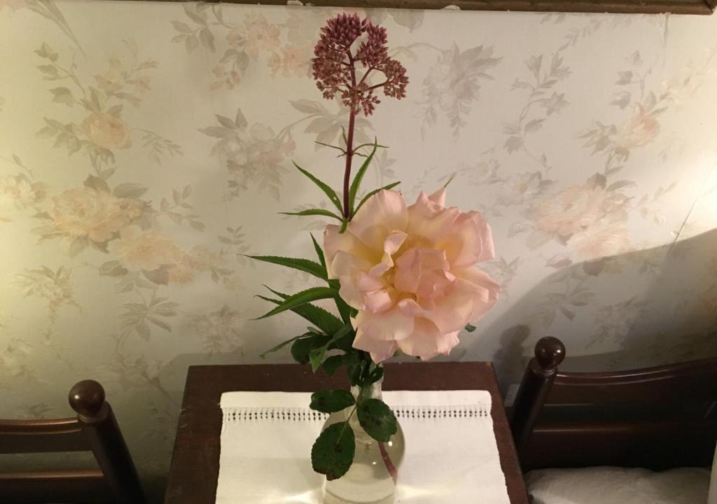 Sloinge Bed & Breakfast | Berte Bed&Breakfast