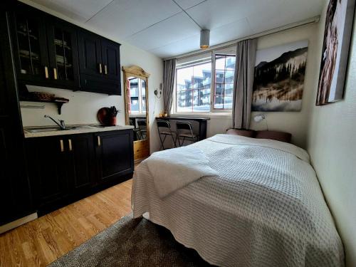 Beitostolen Apartment | Bitihorn