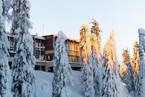Koli National Park Hotel | Break Sokos Hotel Koli