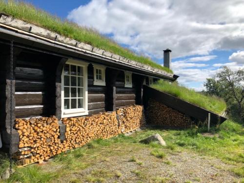 Hol Municipality House | Budalen, spacious cabin close to skitracks
