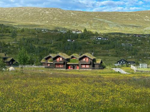 Kroderen House | Cabin By Main Ski Trail At Norefjell