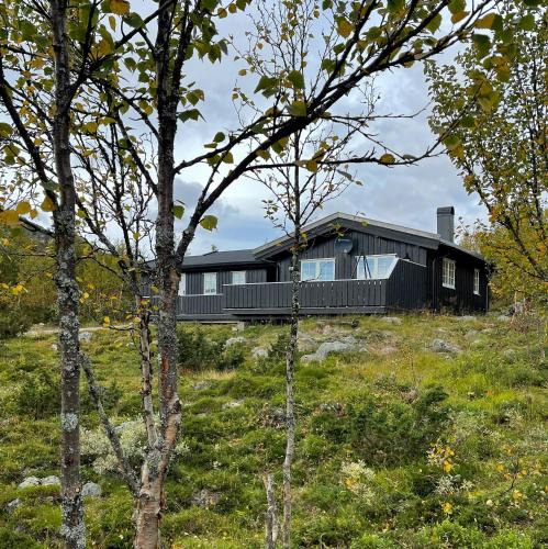 Uvdal House | Cabin In Uvdal With A View Ski-Inout