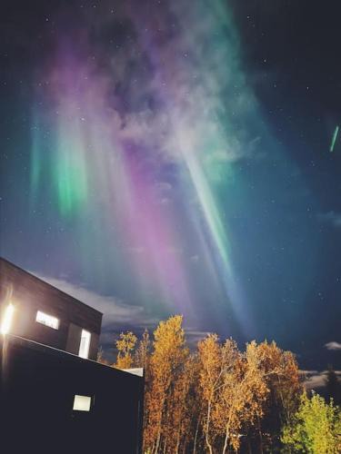 Tromso Apartment | Central apartment with free parking near ski trail