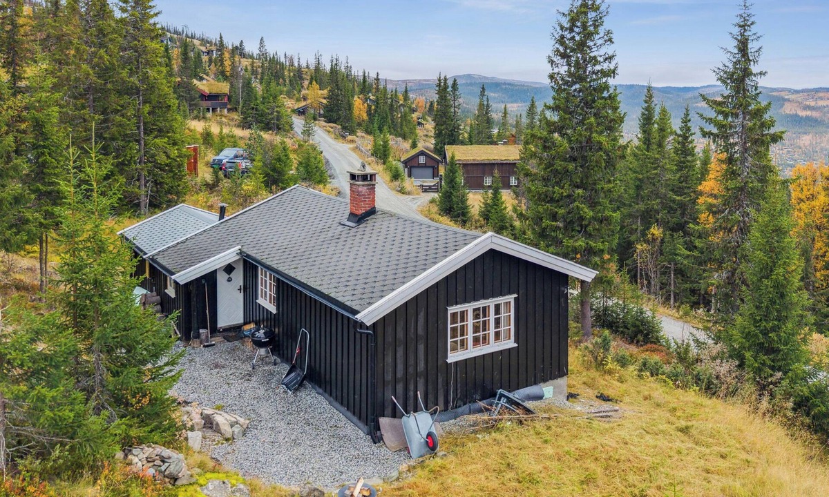 Nes House | Charming cabin by Nesfjellet ski resort