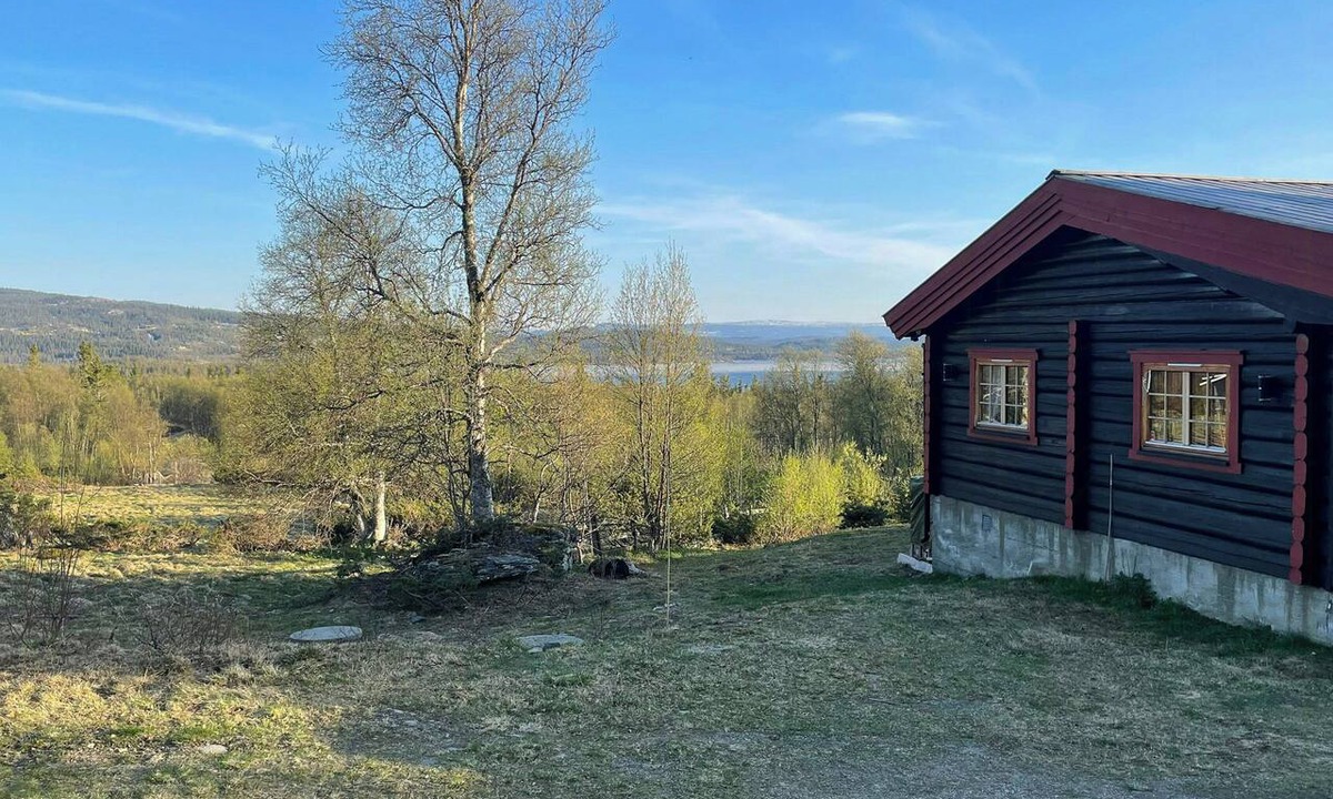 Gol Municipality House | Charming mountain cabin near Hemsedal