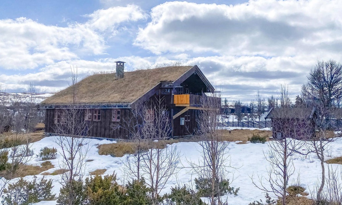 Etnedal House | Charming, spacious log cottage with sauna, fireplace and mountain view.