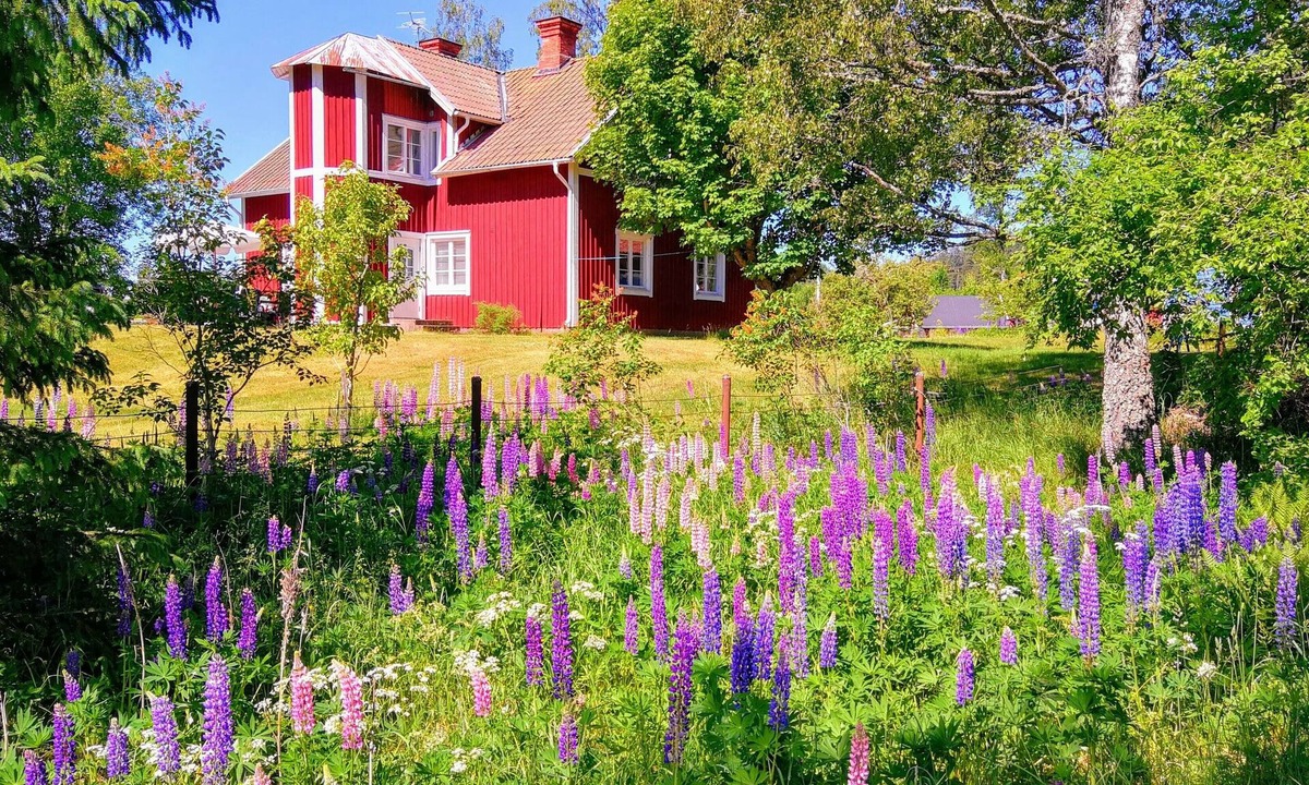 Vetlanda Cottage | Child friendly house - suitable for 2 families - on a sunny spot, lake, boat