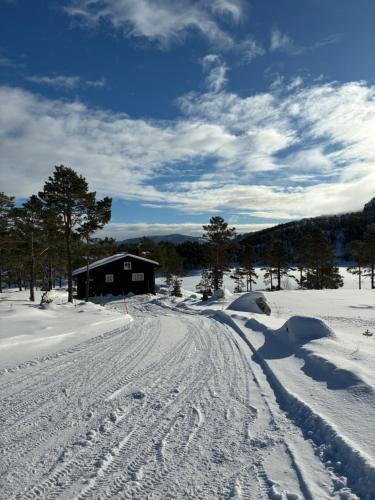 Treungen Ski Chalet | Cosy cabin between lake and mountain