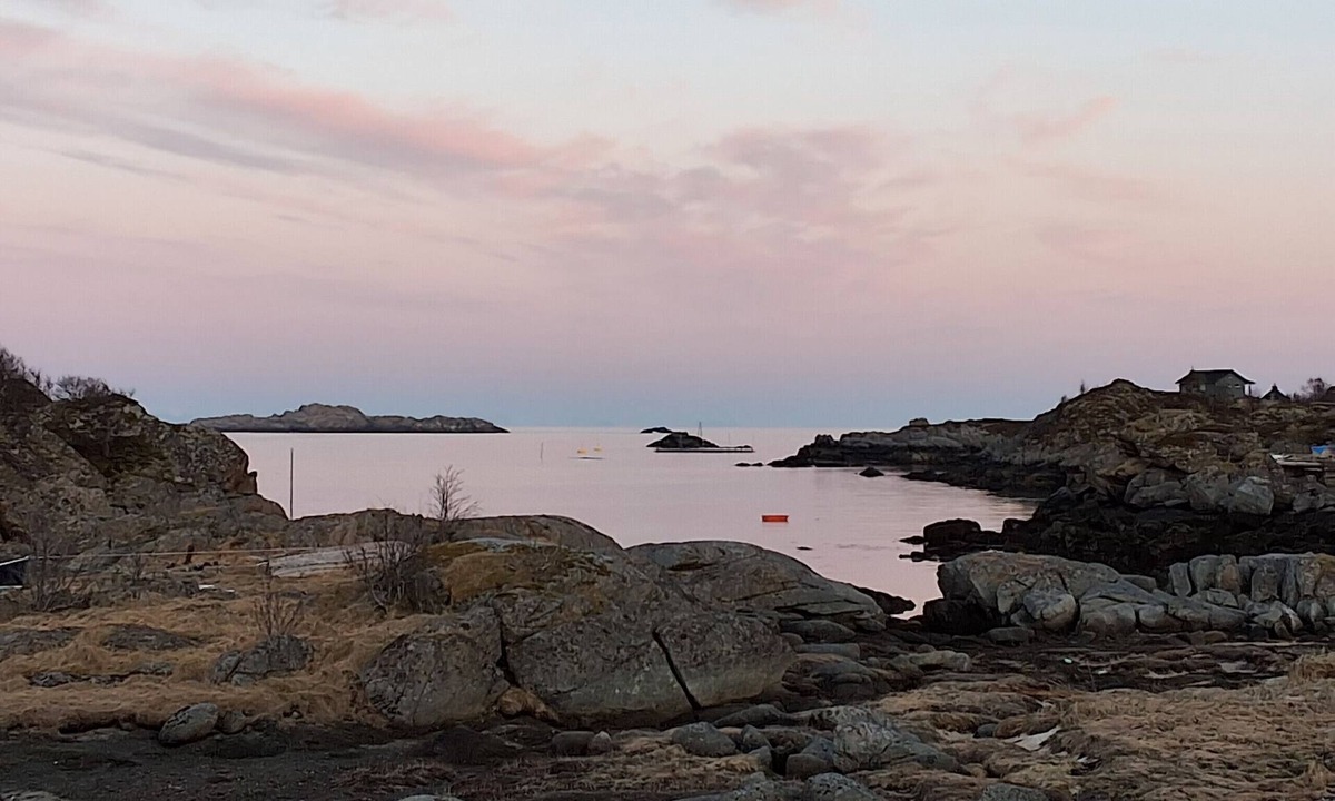 Ballstad Cottage | Cosy cottage by the sea, Ballstad