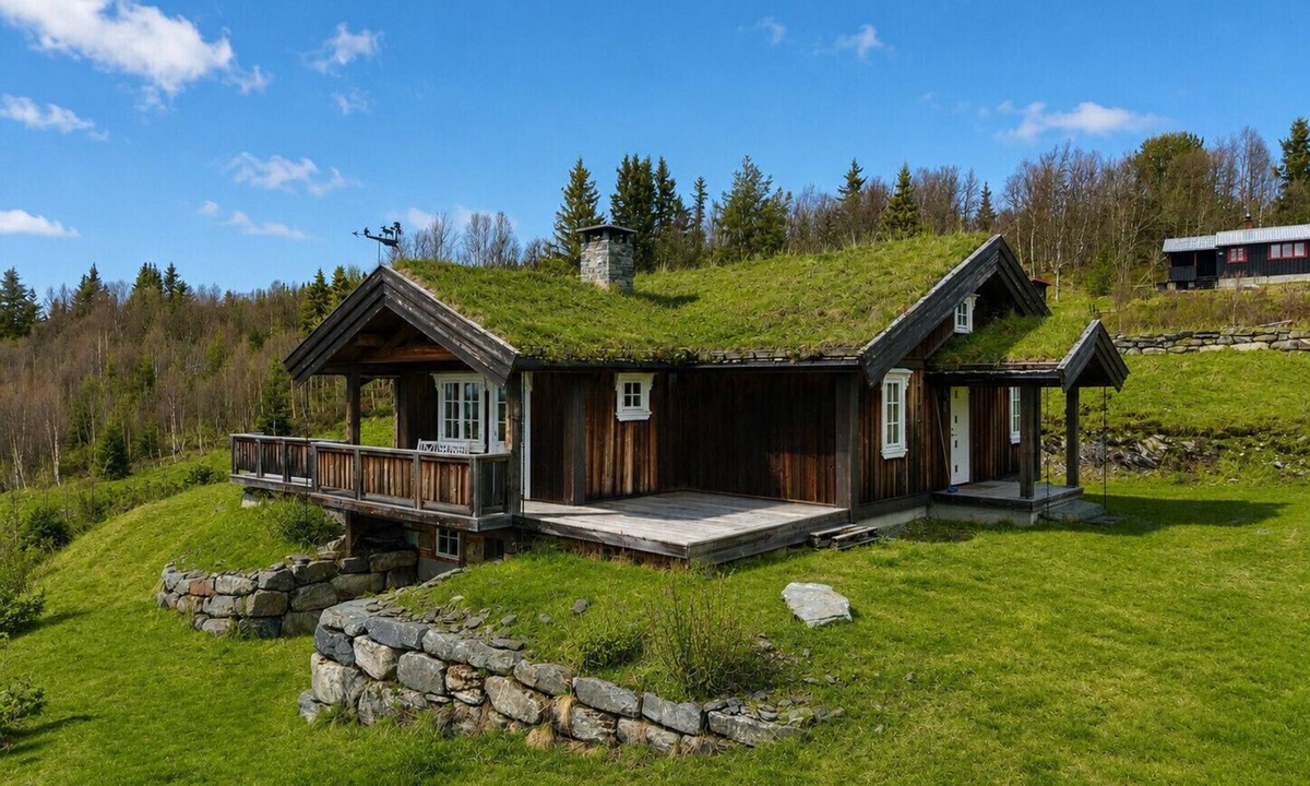 Gol Municipality Cottage | Cosy mountain cabin in Golsfjellet