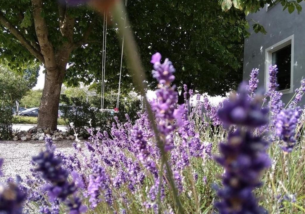 Kopingebro Apartment | CosyPlace; close to beach, nature, train, grocery